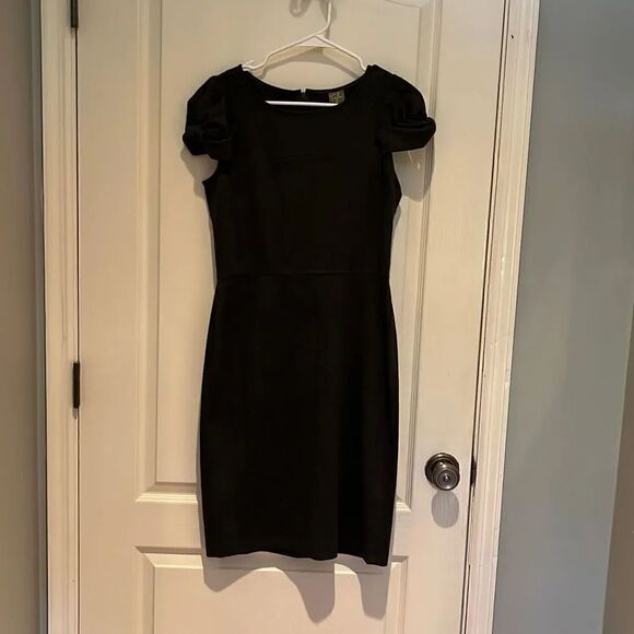 Taylor dress. Capped ruched sleeves. SiZe 6 - Picture 1 of 5